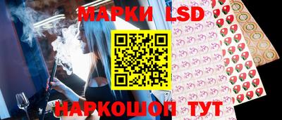 стаф Малгобек