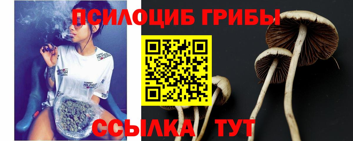 Галлюциногенные грибы мицелий Энгельс